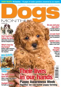 October 2015 
                issue October 2015