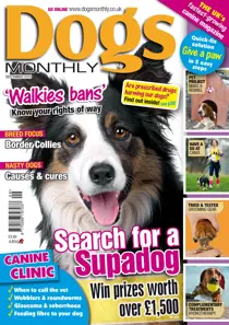 September 2010 
                issue September 2010