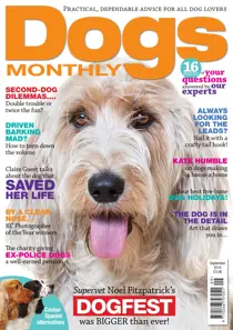 September 2016 
                issue September 2016