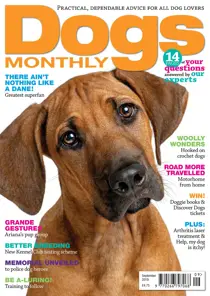 September 2019 
                issue September 2019