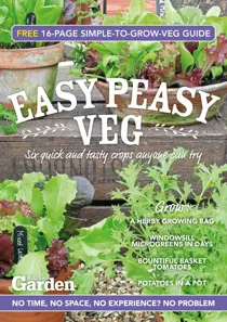 Easy Peasy Veg 
                issue Easy Peasy Veg