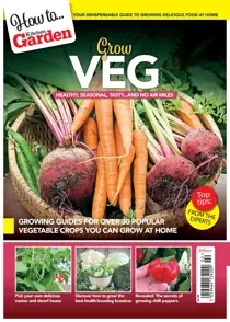 ‘How to’… Grow veg 
                issue ‘How to’… Grow veg