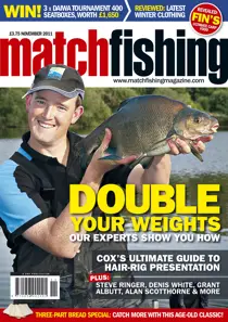 November 2011 
                issue November 2011