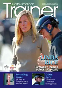 17 
                issue 17