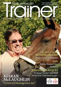 Issue 21 
                issue Issue 21