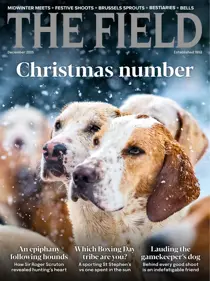 The Field issue December 2025