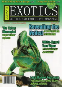 January-February 2008 
                issue January-February 2008