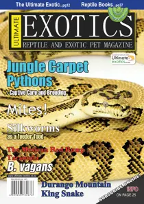 January-February 2011 
                issue January-February 2011