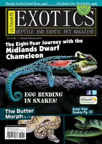 JanuaryFebruary 15 
                issue JanuaryFebruary 15