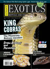 January/February 17 
                issue January/February 17