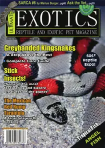 July - August 2008 
                issue July - August 2008