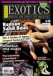 JulyAugust 15 
                issue JulyAugust 15