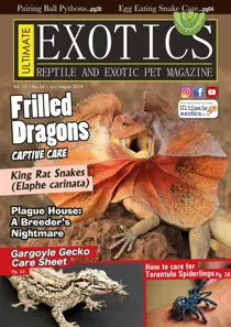 July/August 2019 
                issue July/August 2019