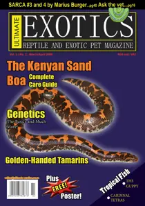 March-April 2008 
                issue March-April 2008