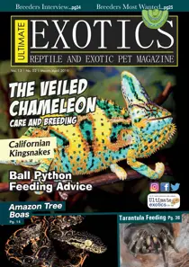 March/April 2019 
                issue March/April 2019