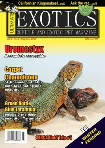 May-June 2008 
                issue May-June 2008