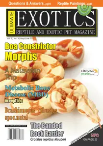 May-June 2011 
                issue May-June 2011