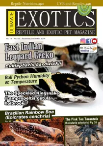 November/December 2019 
                issue November/December 2019