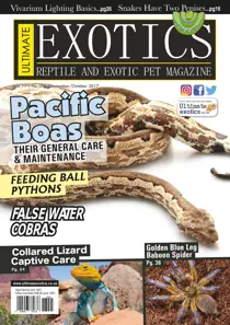 September/October 17 
                issue September/October 17