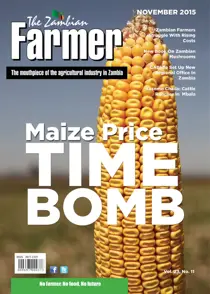 November 2015 
                issue November 2015